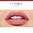 Rouge Velvet The Lipstick - 02 Flamin G’rose
