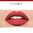 Rouge Velvet The Lipstick - 05 Brique-À-Brac