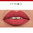 Rouge Velvet The Lipstick - 05 Brique-À-Brac