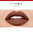 Rouge Velvet The Lipstick - 14 Brownette